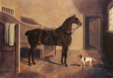  herr - Ein Lieblingstrainer Pferd und Hund in einem Stall Herring Snr John Frederick Pferd